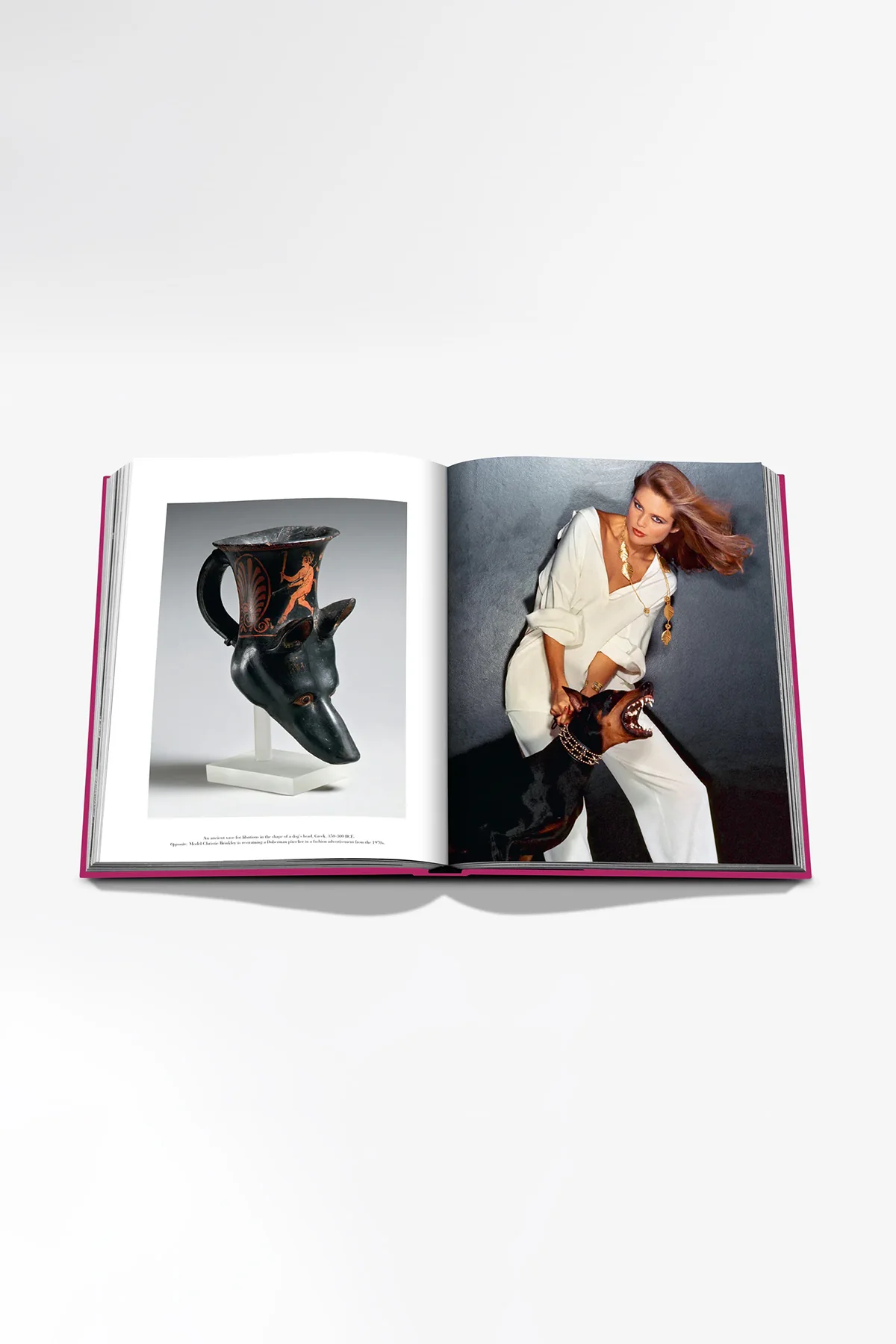 ASSOULINE | CHIC DOGS - Image 3