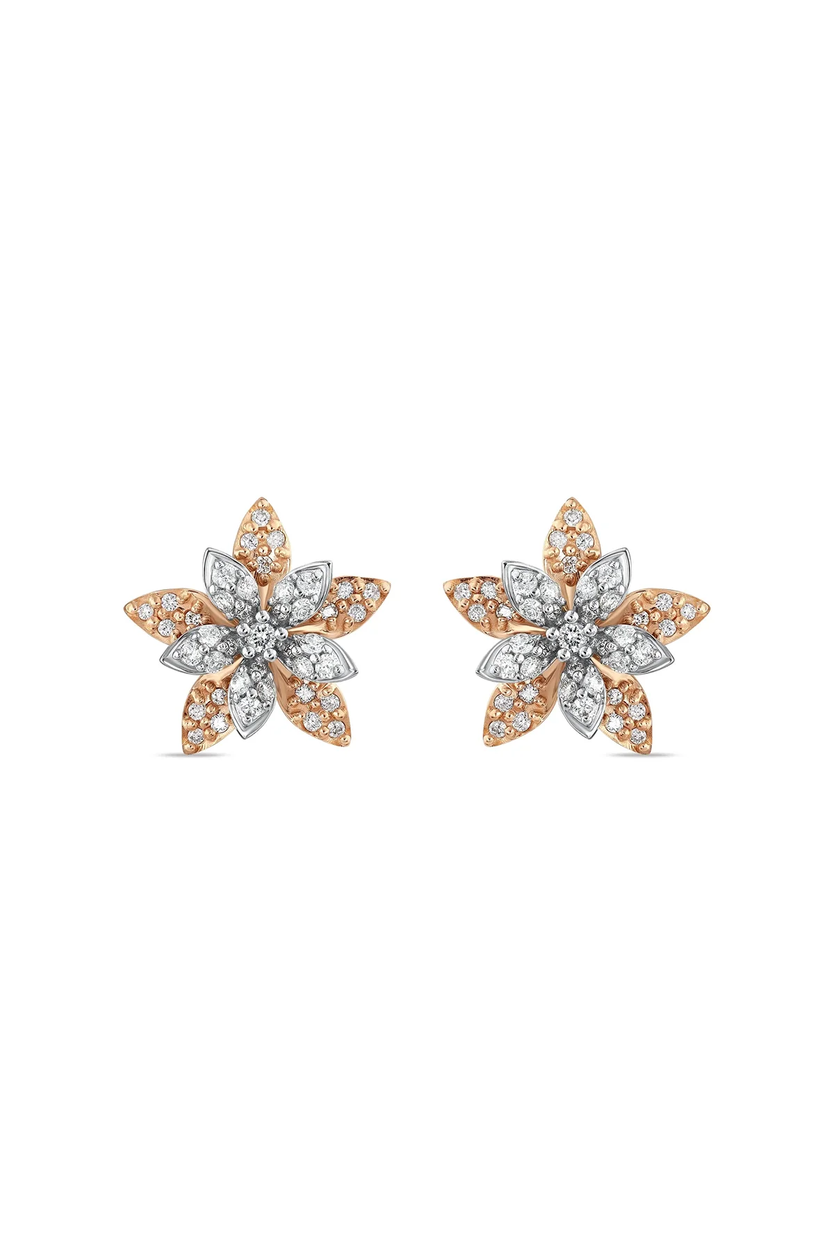BEE GODDESS | ROSE-WHITE GOLD APPLE SEED DIAMOND EARRINGS
