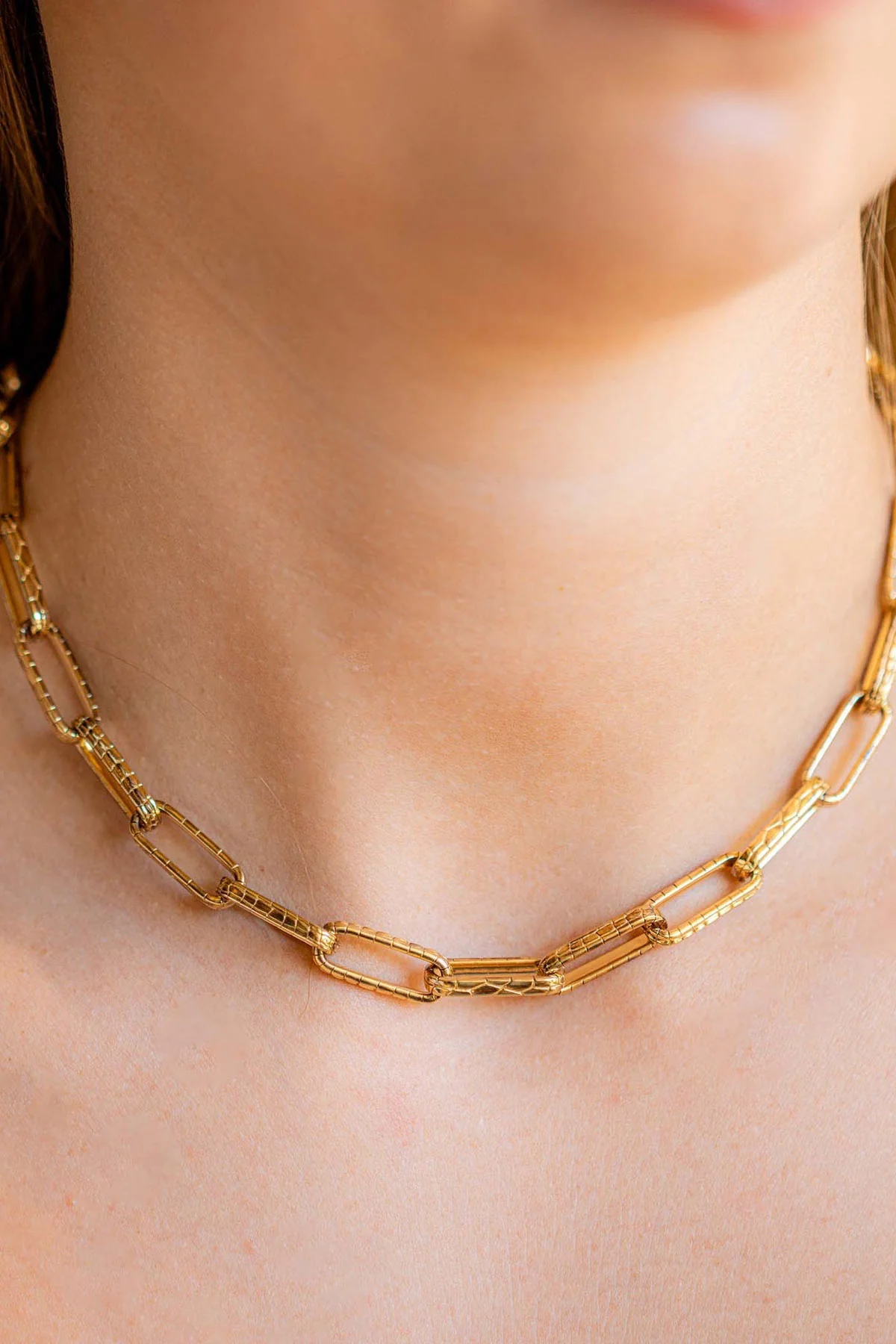 Bibi Van Der Velden | Medium Alligator Link Necklace Chain - Image 2