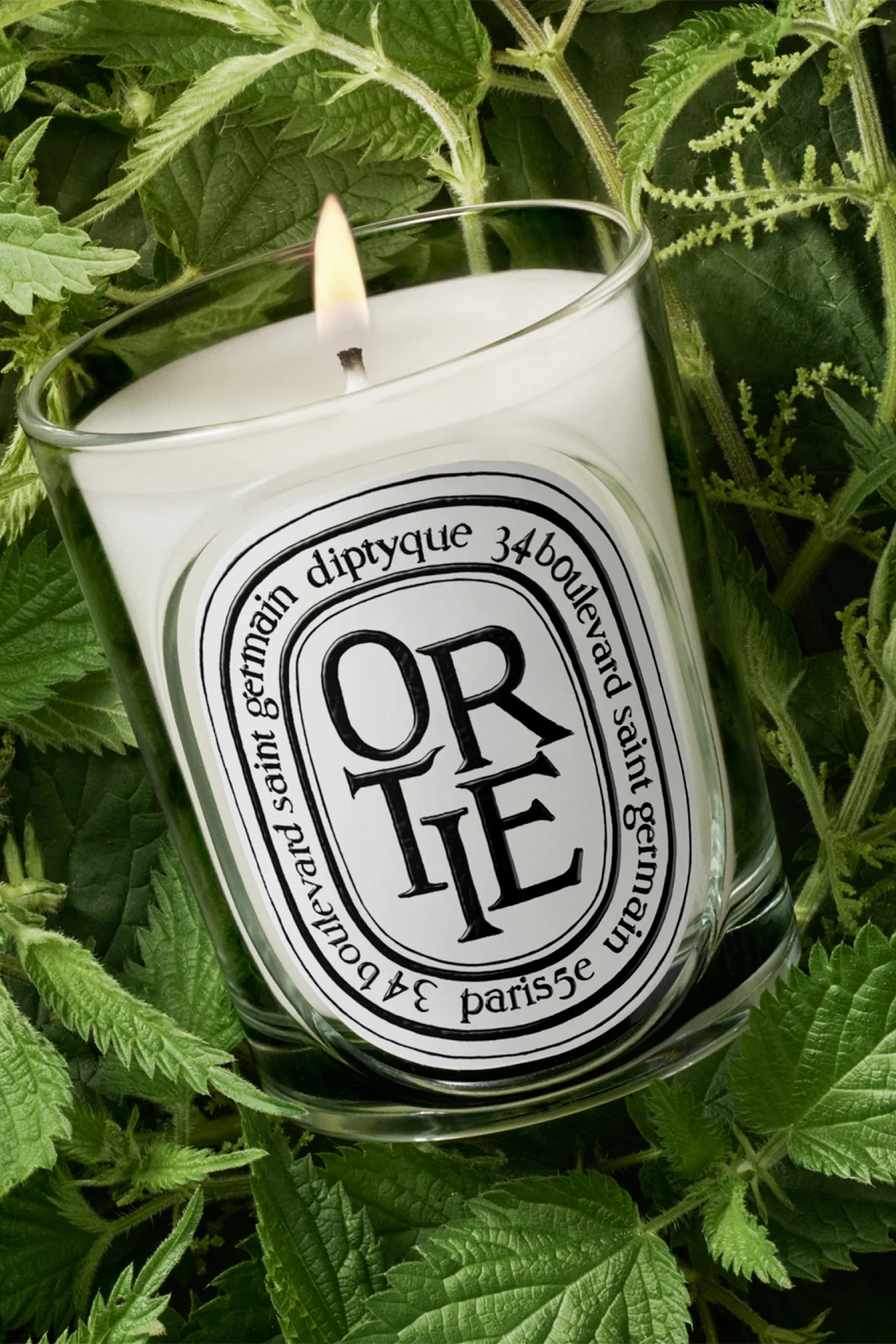 Diptyque | Ortie (Nettle) 190g Candle - Image 3