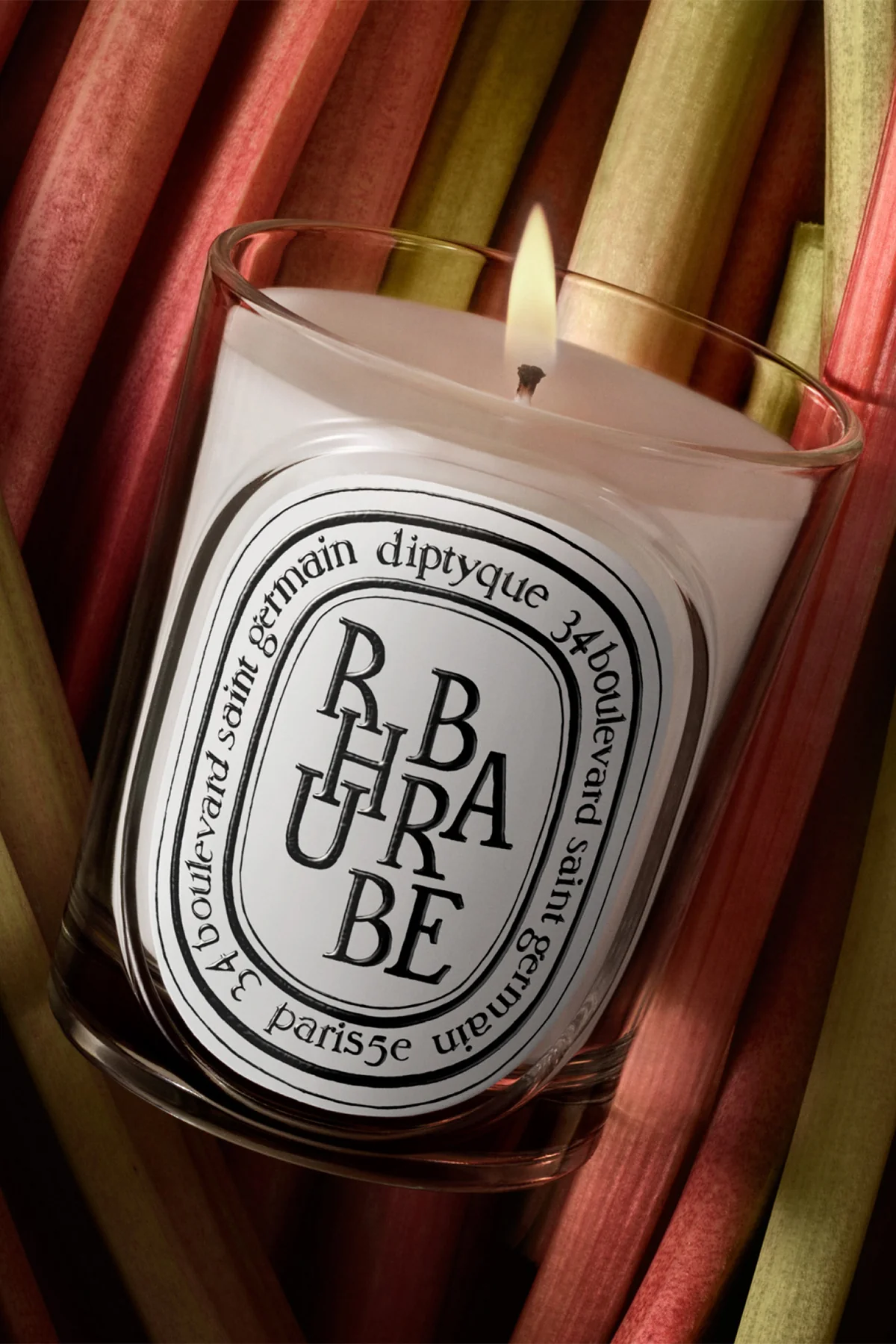 DIPTYQUE | RHUBARBE 190G CANDLE - Image 3
