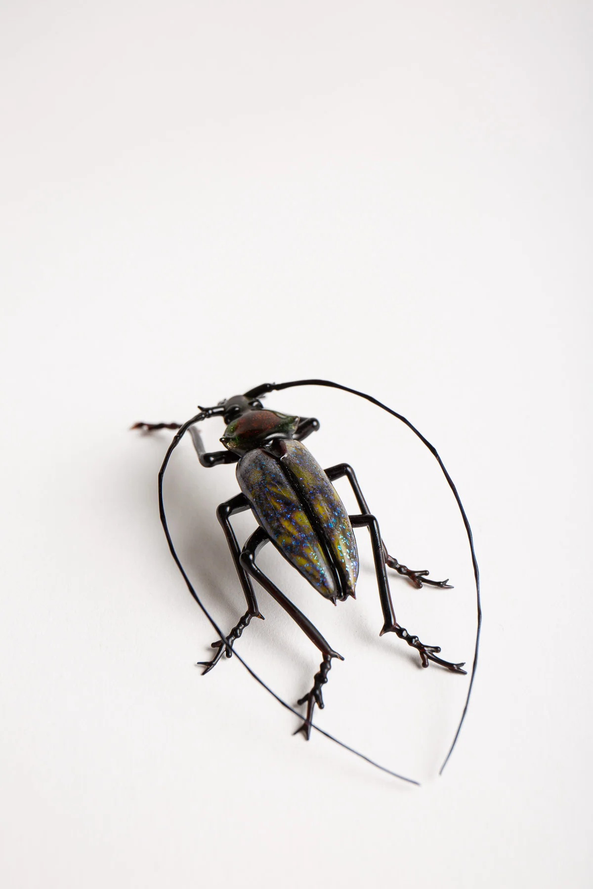 MAXFIELD PRIVATE COLLECTION | LONG HORNED BEETLE - Image 4